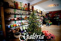 Galria