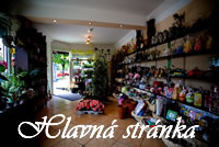 Hlavn strnka