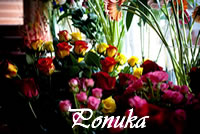 Ponuka