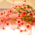 IMG_9054