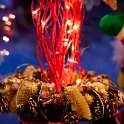 IMG_4583